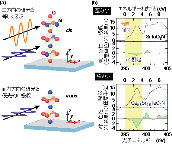 配位構造の異なる酸窒化物結晶の作り分けに成功 格子歪みを使って酸素と窒素の並び方をコントロール 東京大学 大学院理学系研究科 理学部