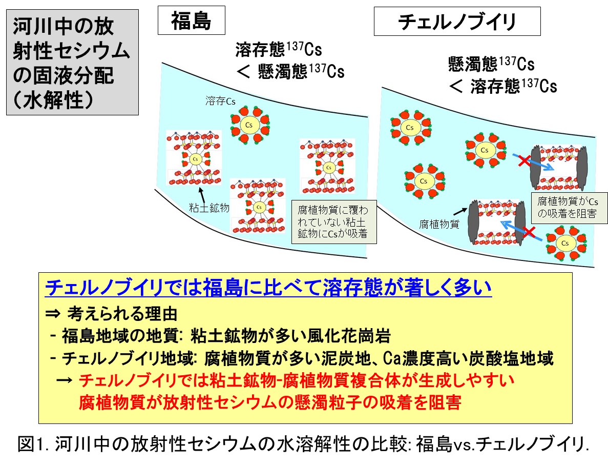 チェルノブイリと福島の河川水中の放射性セシウムの水への溶け易さの違いを解明 東京大学 大学院理学系研究科 理学部