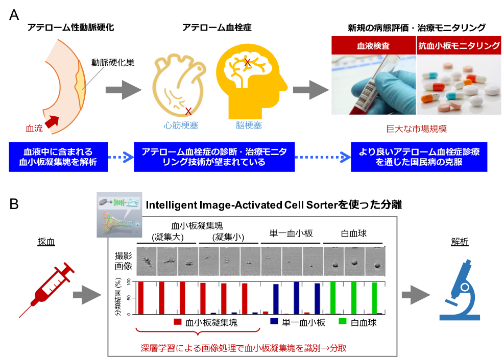 世界初のintelligent Image Activated Cell Sorterを開発 東京大学 大学院理学系研究科 理学部