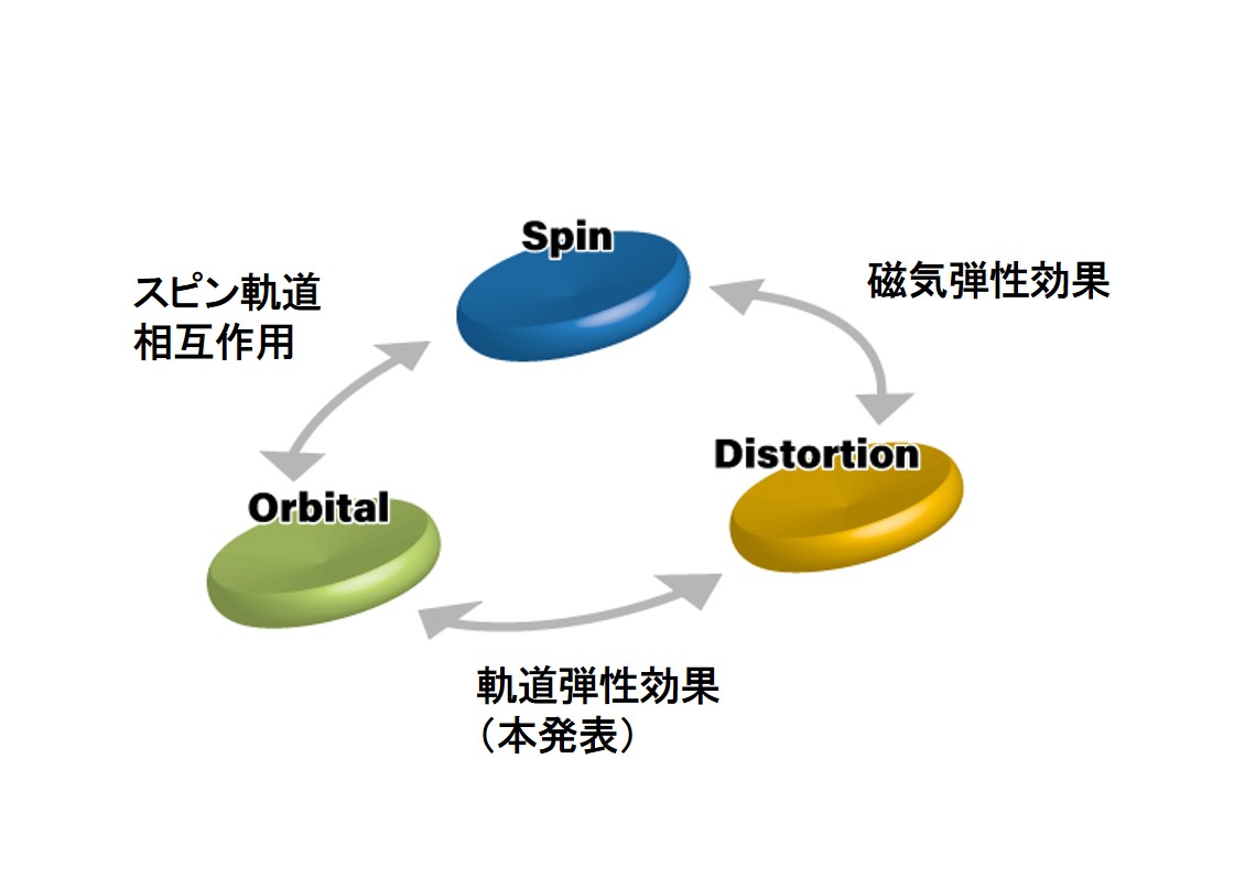 軌道弾性効果 の実証 磁化配向の低電力電界制御に指針 東京大学 大学院理学系研究科 理学部