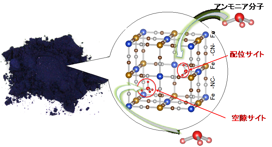 青色顔料が高性能アンモニア吸着材であることを発見 東京大学 大学院理学系研究科 理学部