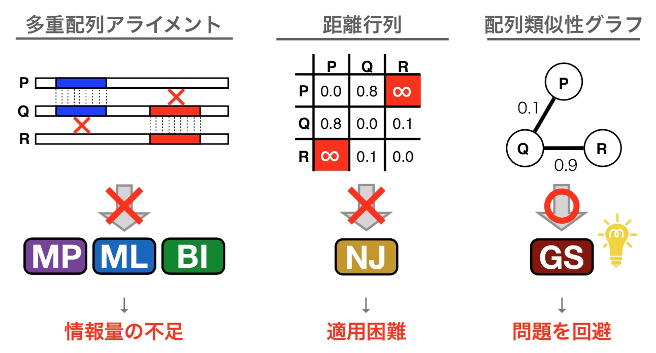 ネットワーク解析技術を応用した新しい進化解析法グラフスプリッティング法で遺伝子の初期進化に迫る