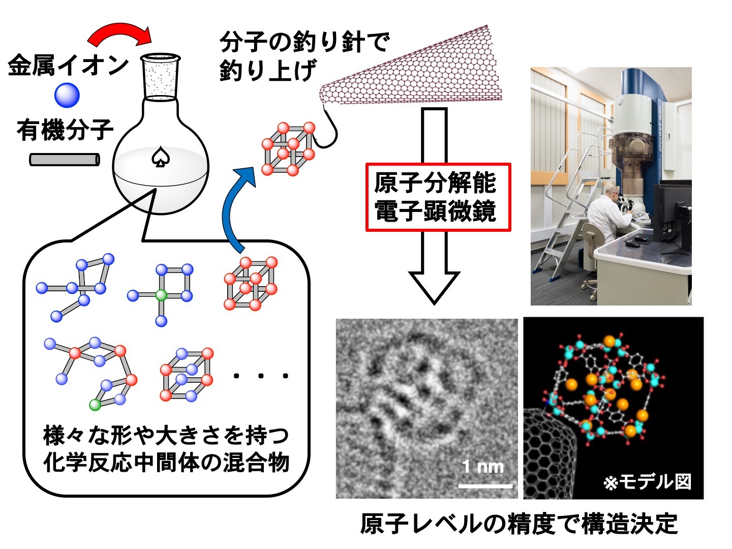 化学反応における微量中間体の直接構造解析に成功