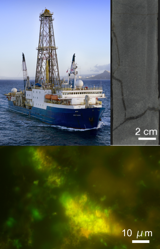 「常識覆す成果」海底地下の岩石1cm3当たりに100億細胞の微生物