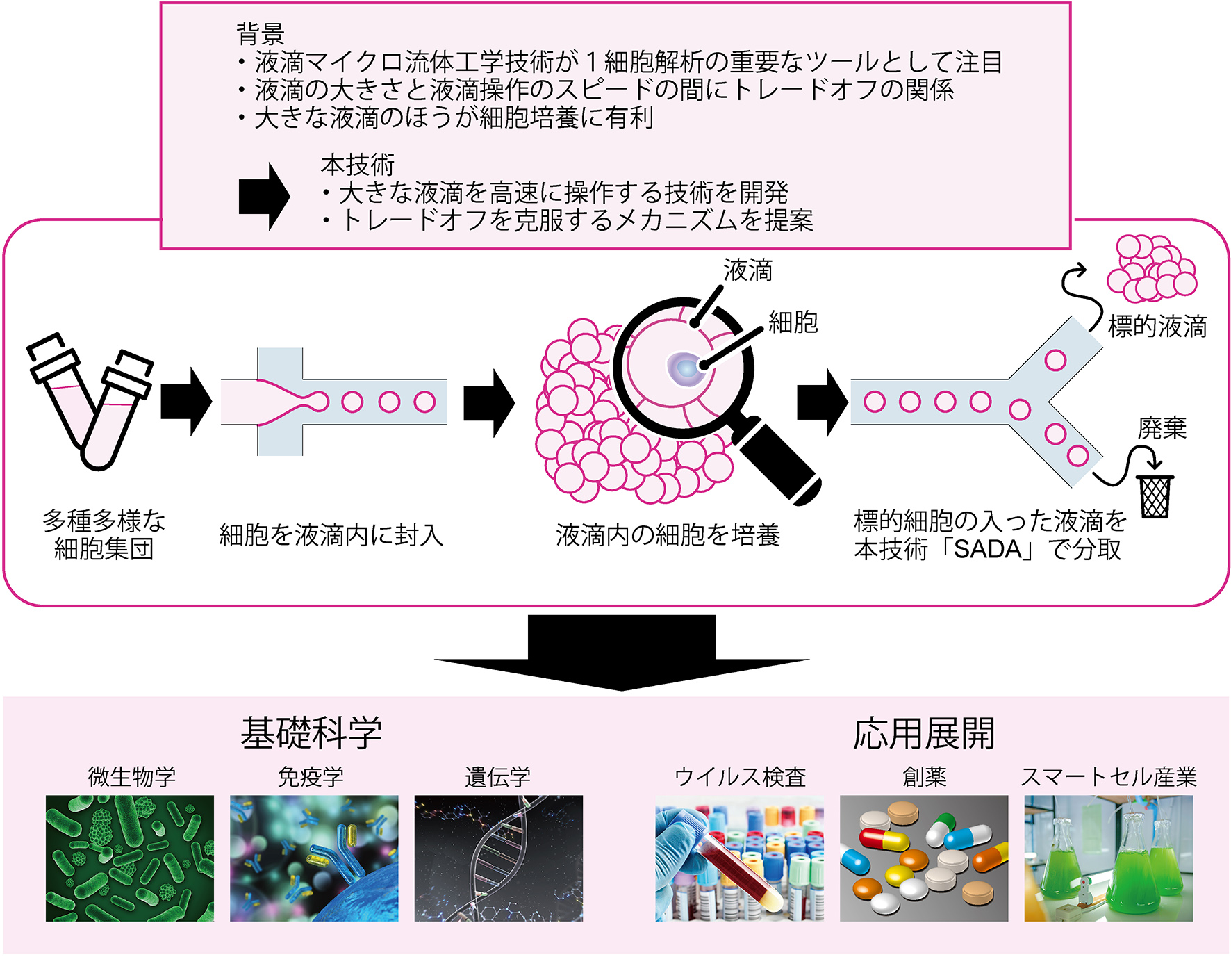 細胞培養用の液滴カプセルの超高速分取技術を開発