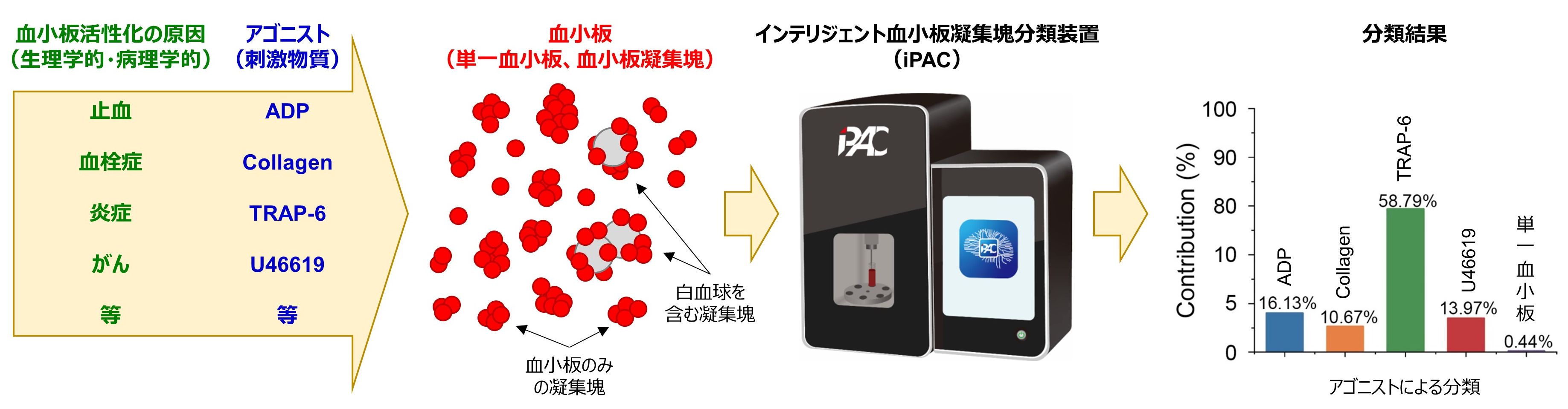 血小板凝集塊は分類可能！人工知能が発見