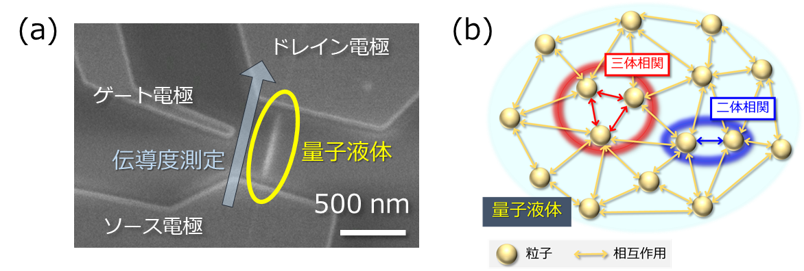 からみあう電子たち～量子液体における三体相関の検出～