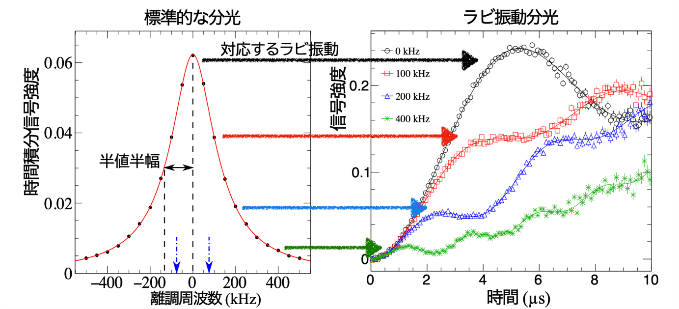 逆転の発想『ラビ振動分光』でミュオニウム原子を精密に測定