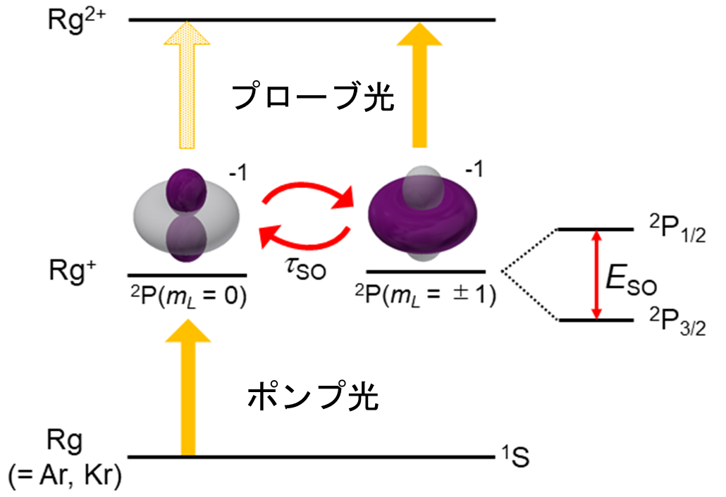 超短パルス強レーザー場で、超高分解能分光計測に成功！