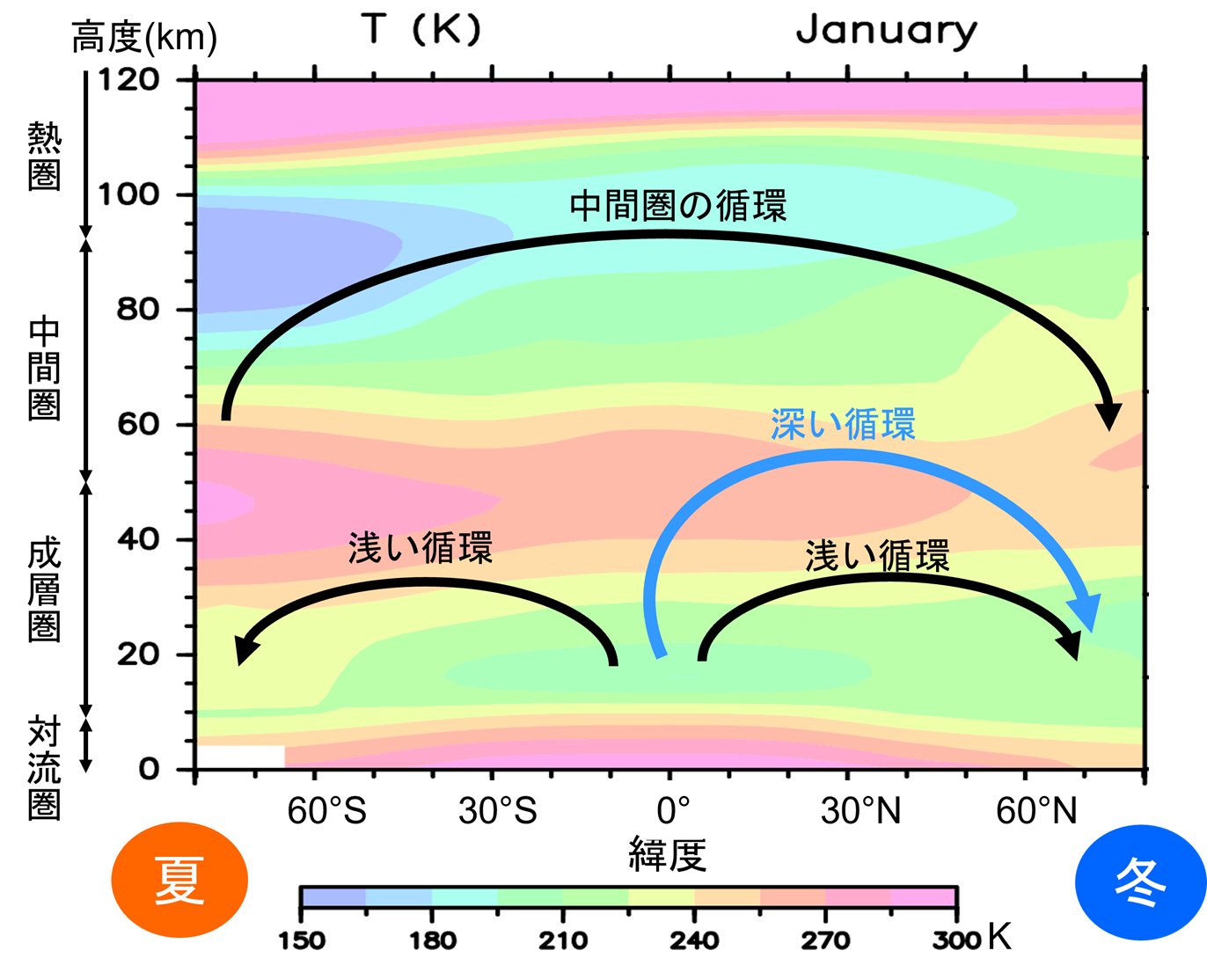 冬季成層圏の「深い循環」の3次元構造を解明