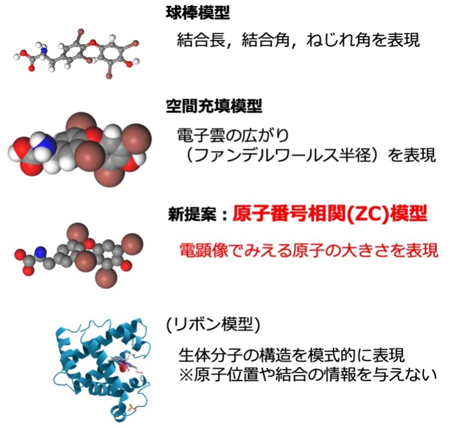 分子の映像と構造をつなぐ新しい分子模型