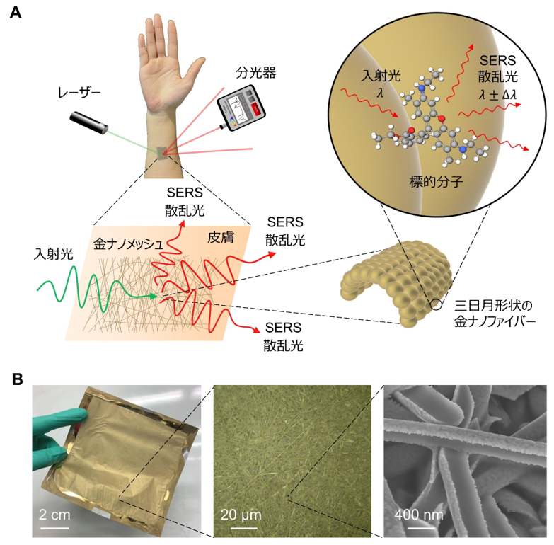 多目的ウェアラブル分析化学を実現 ～健康管理、環境安全、食品管理、犯罪捜査などに有用～