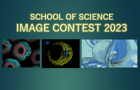 【UTokyo Members Only】Notice of School of Science Image Contest 2023 