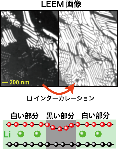 グラフェン層間に入り込むリチウムイオンの動きを電子顕微鏡で解明～”トポロジカル”に保護された”消えない壁”を発見～